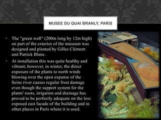 • The "green wall" (200m long by 12m high)
on part of the exterior of the museum was
designed and planted by Gilles Clément
and Patrick Blanc.
• At installation this was quite healthy and
vibrant; however, in winter, the direct
exposure of the plants to north winds
blowing over the open expanse of the
Seine river causes regular frost damage
even though the support system for the
plants' roots, irrigation and drainage has
proved to be perfectly adequate on the less
exposed east facade of the building and in
other places in Paris where it is used.
MUSEE DU QUAI BRANLY, PARIS
 