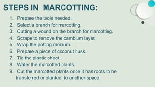 TYPES OF MARCOTTING THAT ARE USEFUL.pptx