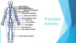 Principais
Artérias
 