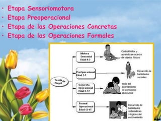 Nicole Zamorano Ayala
• Etapa Sensoriomotora
• Etapa Preoperacional
• Etapa de las Operaciones Concretas
• Etapa de las Operaciones Formales
 