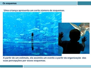 Os esquemas

Uma criança apresenta um certo número de esquemas.




A partir de um estímulo, ela assimila um evento a partir da organização das
suas percepções por esses esquemas.
 