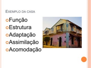 EXEMPLO DA CASA
Função
Estrutura
Adaptação
Assimilação
Acomodação
 