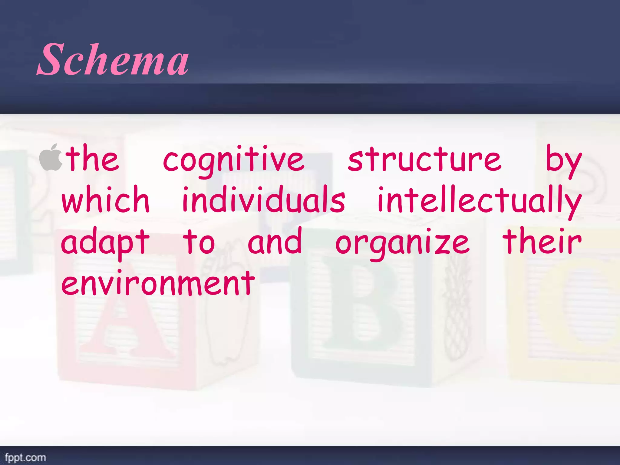 Schema
the cognitive structure by
which individuals intellectually
adapt to and organize their
environment
 