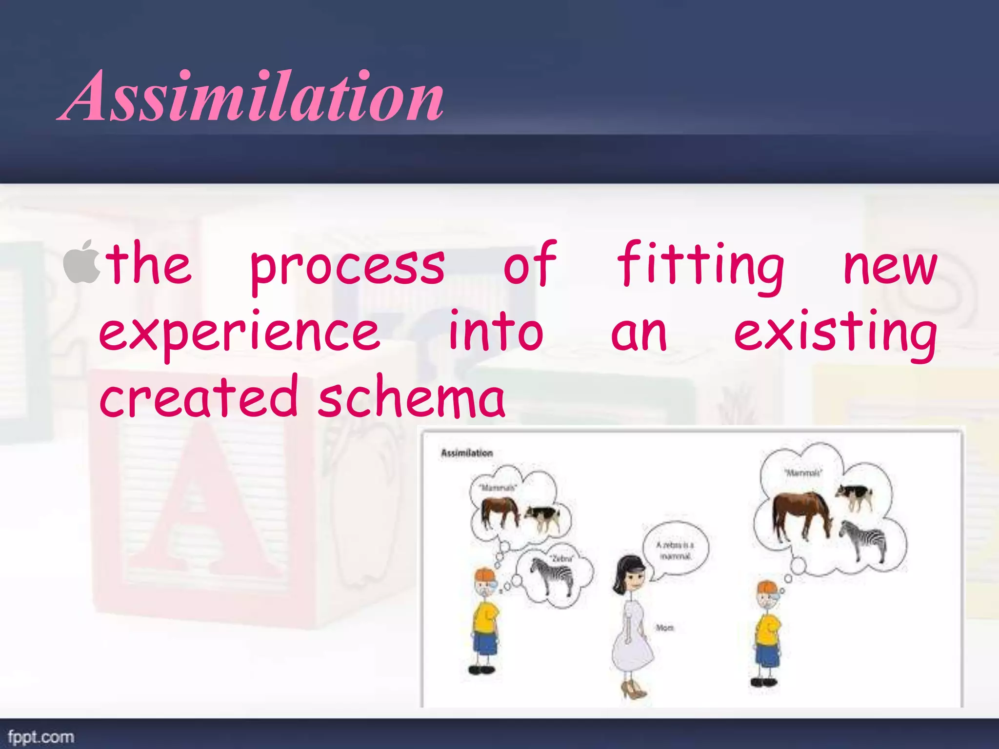 Assimilation
the process of fitting new
experience into an existing
created schema
 