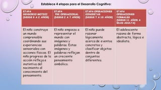 Establece 4 etapas para el Desarrollo Cognitivo: