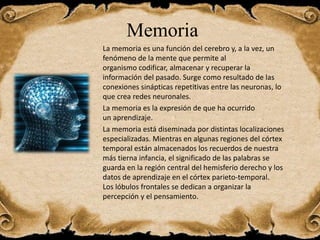 Memoria
La memoria es una función del cerebro y, a la vez, un
fenómeno de la mente que permite al
organismo codificar, almacenar y recuperar la
información del pasado. Surge como resultado de las
conexiones sinápticas repetitivas entre las neuronas, lo
que crea redes neuronales.
La memoria es la expresión de que ha ocurrido
un aprendizaje.
La memoria está diseminada por distintas localizaciones
especializadas. Mientras en algunas regiones del córtex
temporal están almacenados los recuerdos de nuestra
más tierna infancia, el significado de las palabras se
guarda en la región central del hemisferio derecho y los
datos de aprendizaje en el córtex parieto-temporal.
Los lóbulos frontales se dedican a organizar la
percepción y el pensamiento.
 