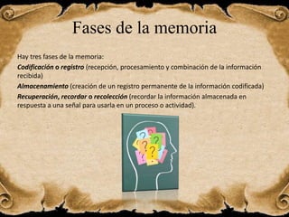 Fases de la memoria
Hay tres fases de la memoria:
Codificación o registro (recepción, procesamiento y combinación de la información
recibida)
Almacenamiento (creación de un registro permanente de la información codificada)
Recuperación, recordar o recolección (recordar la información almacenada en
respuesta a una señal para usarla en un proceso o actividad).
 