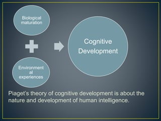 Piaget’s theory of cognitive development is about the
nature and development of human intelligence.
Biological
maturation
Environment
al
experiences
Cognitive
Development
 
