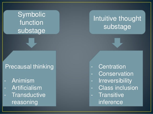 piaget's intuitive thought substage