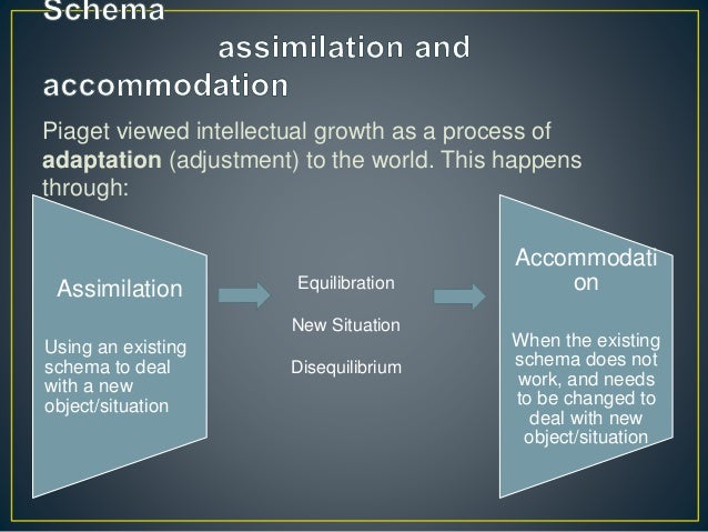 adaptation jean piaget