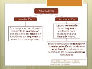 ADAPTACIÓN
Asimilación Acomodación
Proceso por el que el sujeto
interpreta la información
que proviene del medio, en
función de sus esquemas o
estructuras conceptuales
Supone modifación
de los esquemas
existentes para
responder a una
situación nueva.
“La abstracción reflexiva no se basa en
acciones individuales, sino en acciones
coordinadas” Jean Piaget
Supone también una asimilación
o reinterpretación de los datos o
conocimientos anteriores en
función de los nuevos esquemas
construidos
 