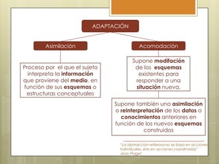 ADAPTACIÓN
Asimilación

Proceso por el que el sujeto
interpreta la información
que proviene del medio, en
función de sus esquemas o
estructuras conceptuales

Acomodación
Supone modifación
de los esquemas
existentes para
responder a una
situación nueva.
Supone también una asimilación
o reinterpretación de los datos o
conocimientos anteriores en
función de los nuevos esquemas
construidos
“La abstracción reflexiva no se basa en acciones
individuales, sino en acciones coordinadas”
Jean Piaget

 