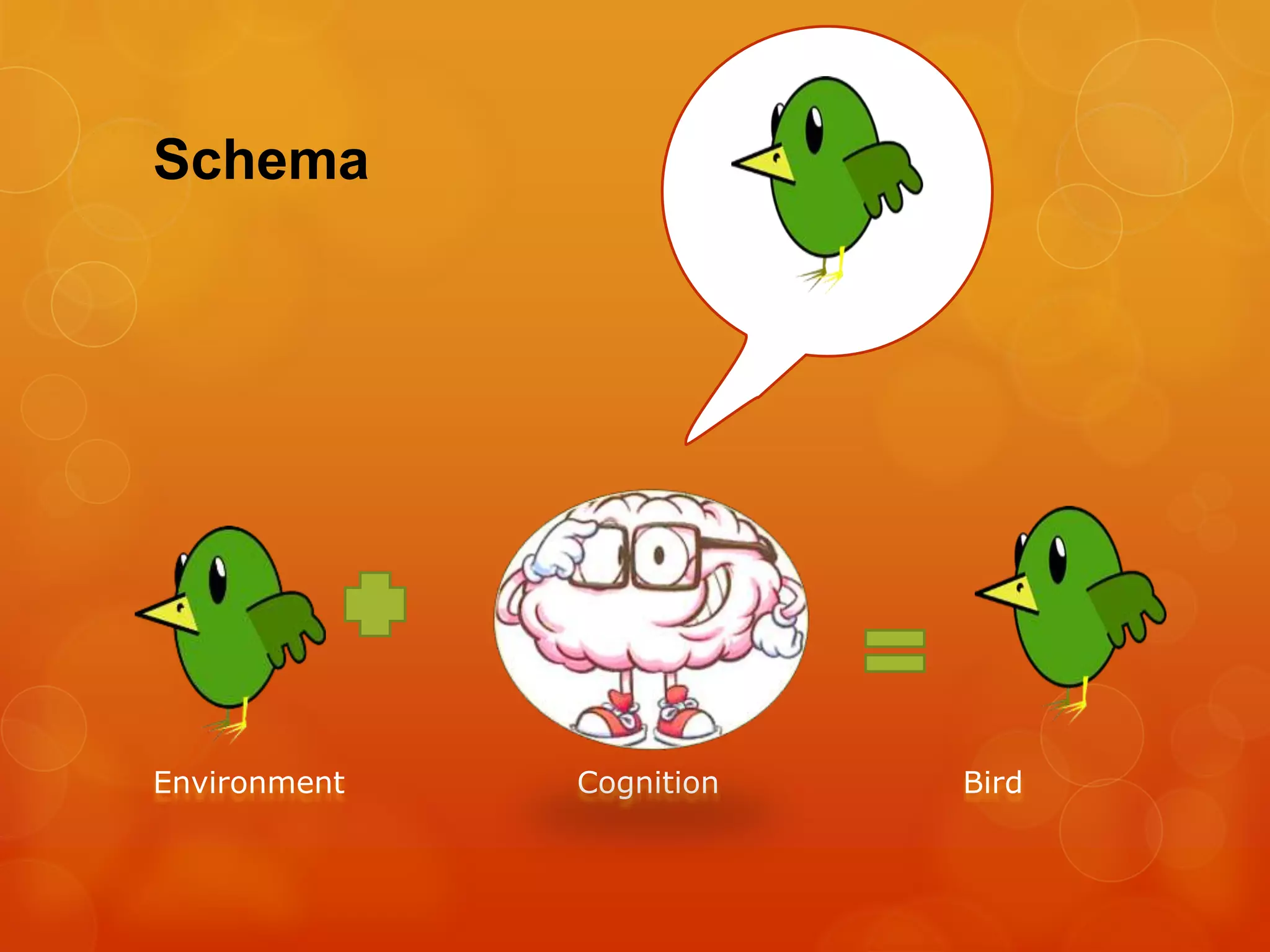 Environment Cognition Bird
Schema
 