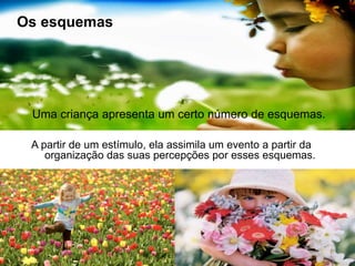 Uma criança apresenta um certo número de esquemas.
A partir de um estímulo, ela assimila um evento a partir da
organização das suas percepções por esses esquemas.
Os esquemas
 