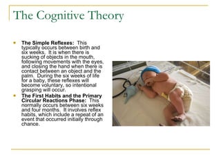 The Cognitive Theory The Simple Reflexes:   This typically occurs between birth and six weeks.  It is when there is sucking of objects in the mouth, following movements with the eyes, and closing the hand when there is contact between an object and the palm.  During the six weeks of life for a baby, these reflexes will become voluntary, so intentional grasping will occur.   The First Habits and the Primary Circular Reactions Phase:   This normally occurs between six weeks and four months.  It involves reflex habits, which include a repeat of an event that occurred initially through chance.   