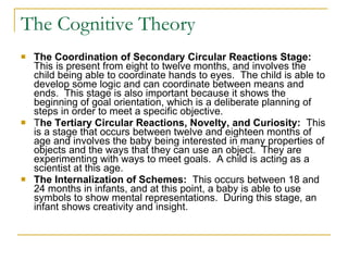 The Cognitive Theory The Coordination of Secondary Circular Reactions Stage:   This is present from eight to twelve months, and involves the child being able to coordinate hands to eyes.  The child is able to develop some logic and can coordinate between means and ends.  This stage is also important because it shows the beginning of goal orientation, which is a deliberate planning of steps in order to meet a specific objective. T he Tertiary Circular Reactions, Novelty, and Curiosity:   This is a stage that occurs between twelve and eighteen months of age and involves the baby being interested in many properties of objects and the ways that they can use an object.  They are experimenting with ways to meet goals.  A child is acting as a scientist at this age.   The Internalization of Schemes:   This occurs between 18 and 24 months in infants, and at this point, a baby is able to use symbols to show mental representations.  During this stage, an infant shows creativity and insight.   