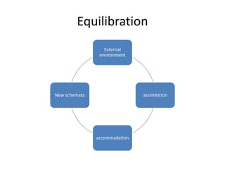 equilibration piaget