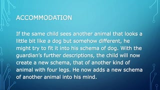 ACCOMMODATION
If the same child sees another animal that looks a
little bit like a dog but somehow different, he
might try to fit it into his schema of dog. With the
guardian’s further descriptions, the child will now
create a new schema, that of another kind of
animal with four legs. He now adds a new schema
of another animal into his mind.
 