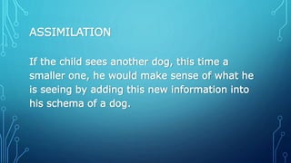 ASSIMILATION
If the child sees another dog, this time a
smaller one, he would make sense of what he
is seeing by adding this new information into
his schema of a dog.
 