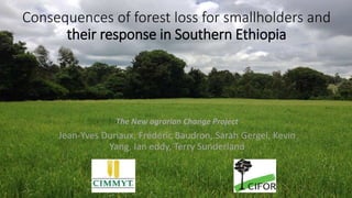 Consequences of forest loss for smallholders and
their response in Southern Ethiopia
The New agrarian Change Project
Jean-Yves Duriaux, Frédéric Baudron, Sarah Gergel, Kevin
Yang, Ian eddy, Terry Sunderland
 