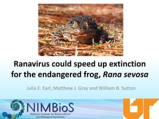 Ranavirus could speed up extinction
for the endangered frog, Rana sevosa
Julia E. Earl, Matthew J. Gray and William B. Sutton
 