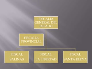 FISCALIA
GENERAL DEL
ESTADO
FISCALIA
PROVINCIAL
FIISCAL FISCAL FISCAL
SALINAS LA LIBERTAD SANTA ELENA