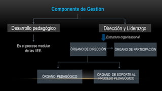 Componente de Gestión
Desarrollo pedagógico
Es el proceso medular
de las IIEE.
Dirección y Liderazgo
ÓRGANO DE DIRECCIÓN ÓRGANO DE PARTICIPACIÓN
ÓRGANO PEDAGÓGICO
ÓRGANO DE SOPORTE AL
PROCESO PEDAGÓGICO
Estructura organizacional
 