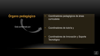 • Coordinadores pedagógicos de áreas
curriculares
• Coordinadores de tutoría y
• Coordinadores de Innovación y Soporte
Tecnológico
Órgano pedagógico
Está conformado por:
 