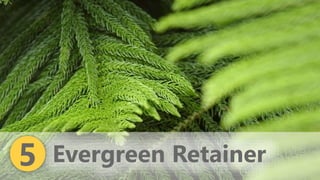 z
Evergreen Retainer5
 