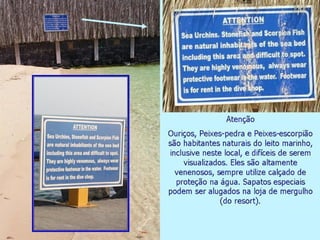 Jeddah e mar Vermelho