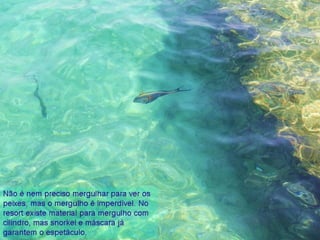 Jeddah e mar Vermelho