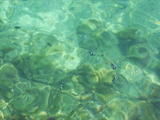 Jeddah e mar Vermelho