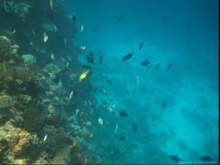 Jeddah e mar Vermelho