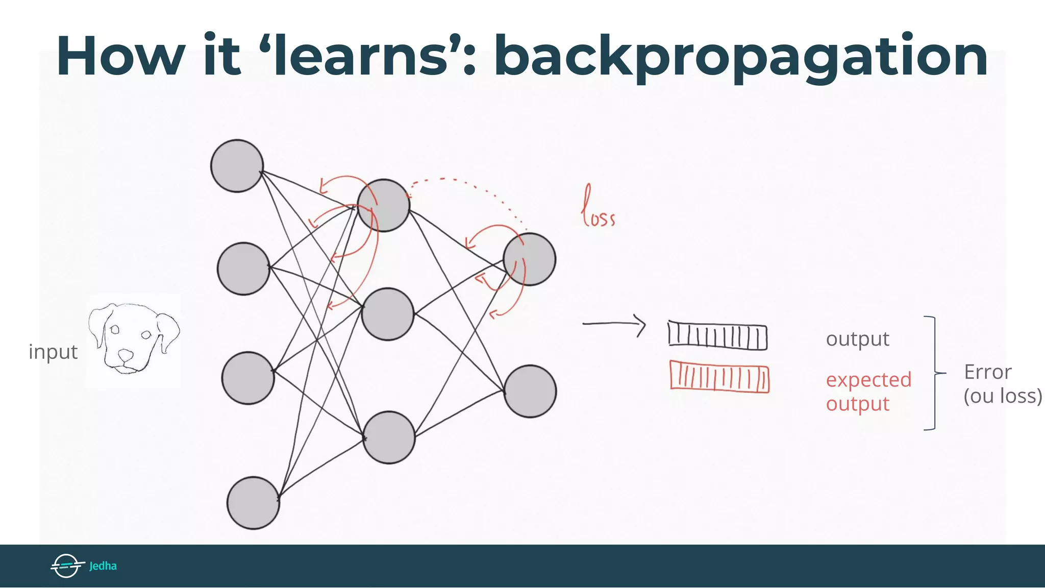 How it ‘learns’: backpropagation
input
expected
output
output
Error
(ou loss)
 