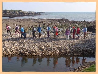 Ni contigo ni sin TIC