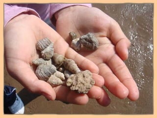 Ni contigo ni sin TIC