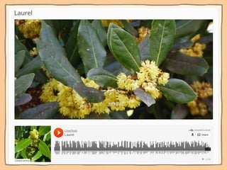 Ni contigo ni sin TIC