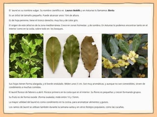 Ni contigo ni sin TIC