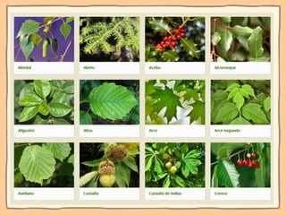 Ni contigo ni sin TIC