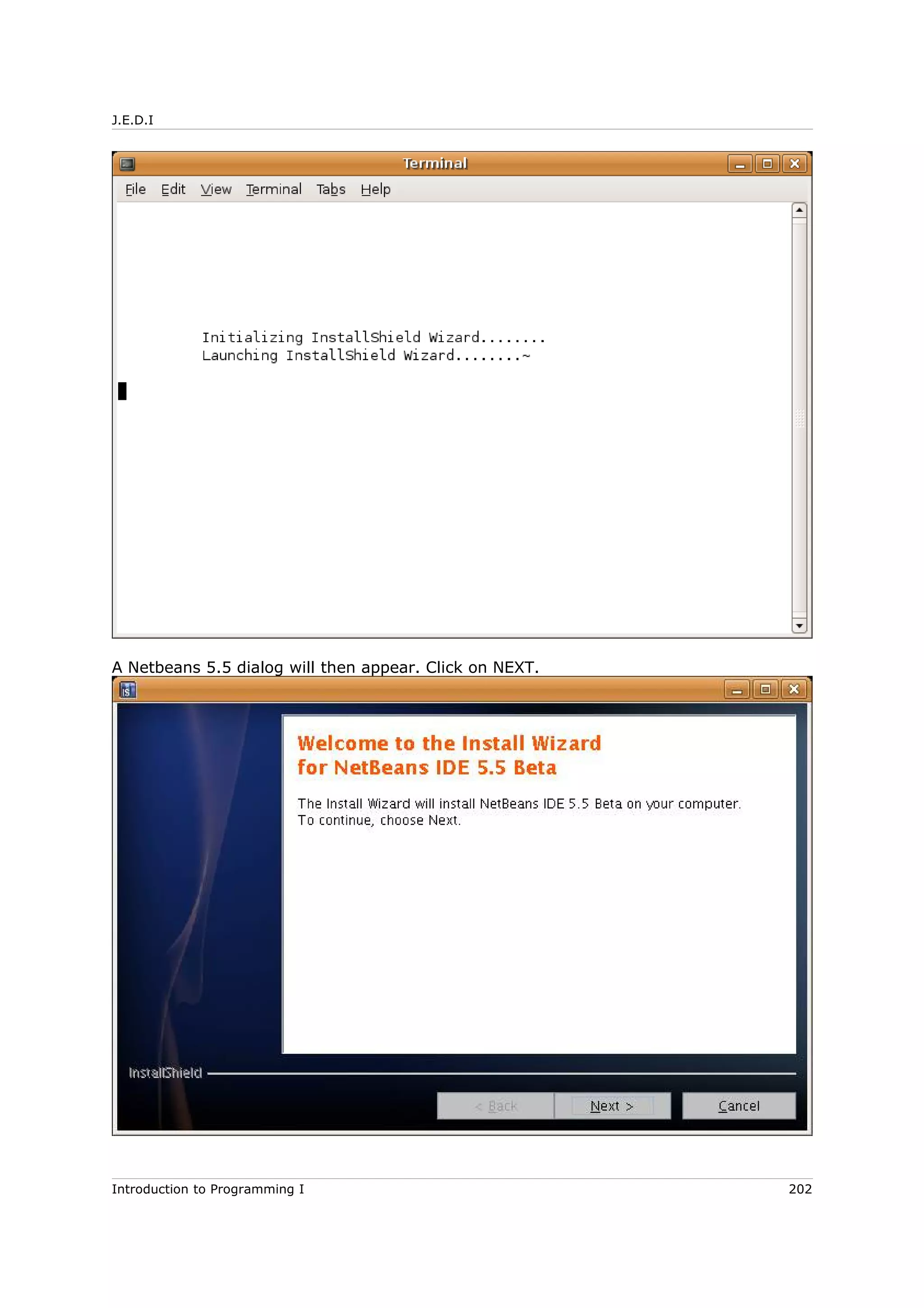 J.E.D.I
A Netbeans 5.5 dialog will then appear. Click on NEXT.
Introduction to Programming I 202
 