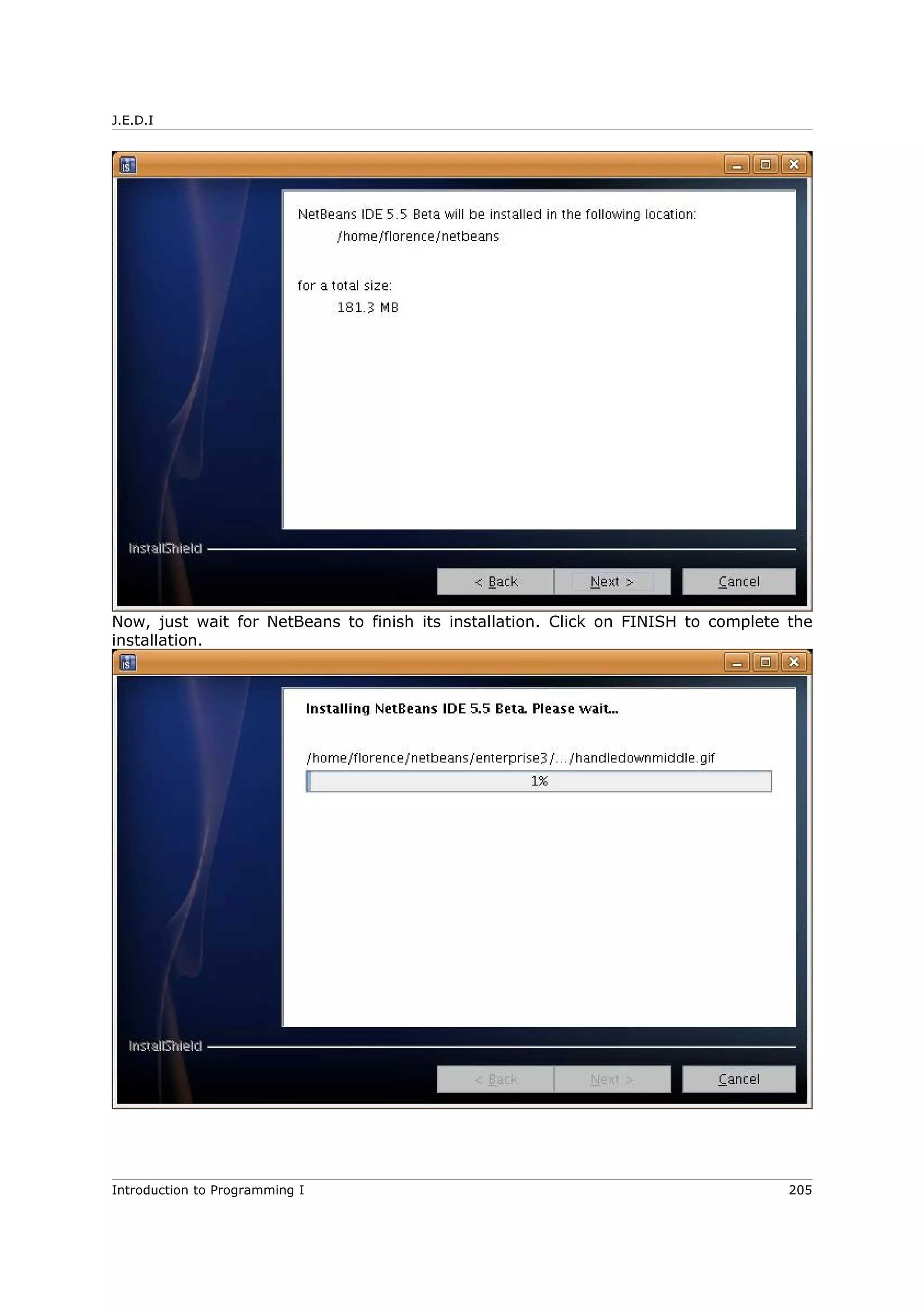 J.E.D.I
Now, just wait for NetBeans to finish its installation. Click on FINISH to complete the
installation.
Introduction to Programming I 205
 
