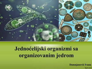 Damnjanović Ivana
Jednoćelijski organizmi sa
organizovanim jedrom
 