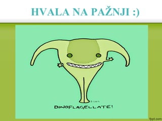 HVALA NA PAŽNJI :)
 