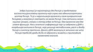 Једро | PPT