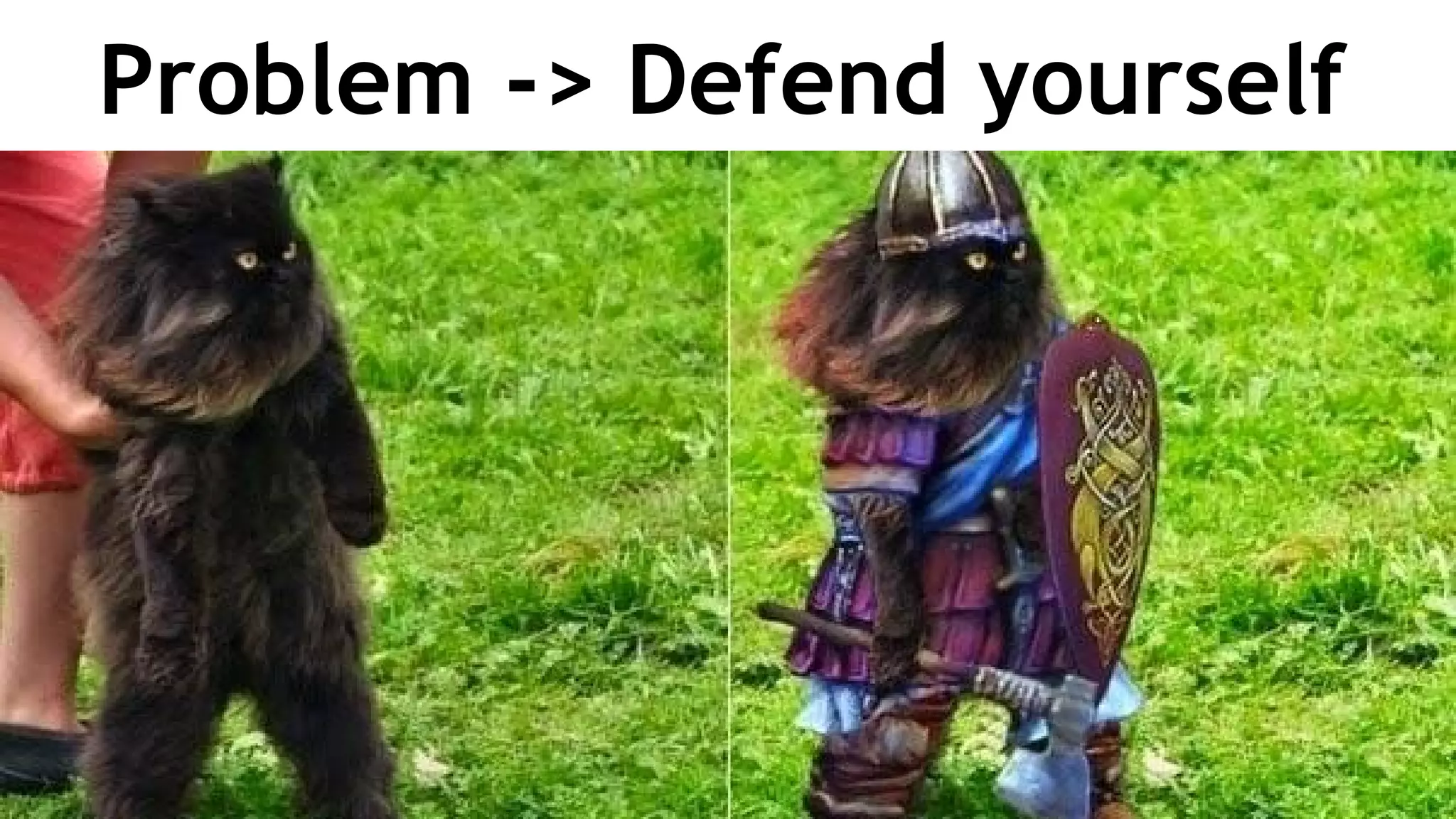 Problem -> Defend yourself
 