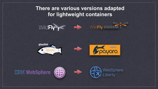 micro
glassﬁsh
There are various versions adapted
for lightweight containers
 