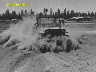 Dans le sableDans le sable
 
