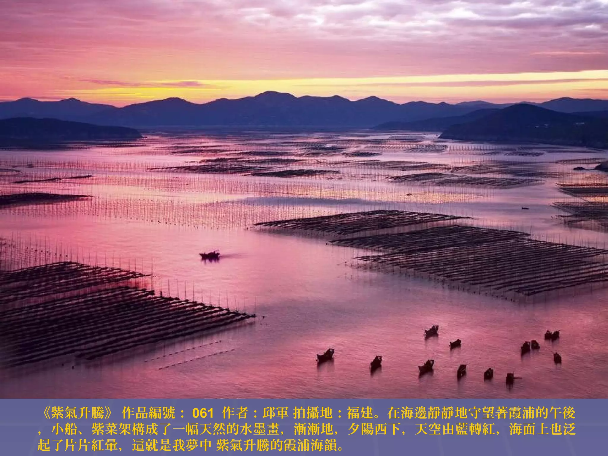 《紫氣升騰》 作品編號： 061 作者：邱軍 拍攝地：福建。在海邊靜靜地守望著霞浦的午後
，小船、紫菜架構成了一幅天然的水墨畫，漸漸地，夕陽西下，天空由藍轉紅，海面上也泛
起了片片紅暈，這就是我夢中 紫氣升騰的霞浦海韻。

 