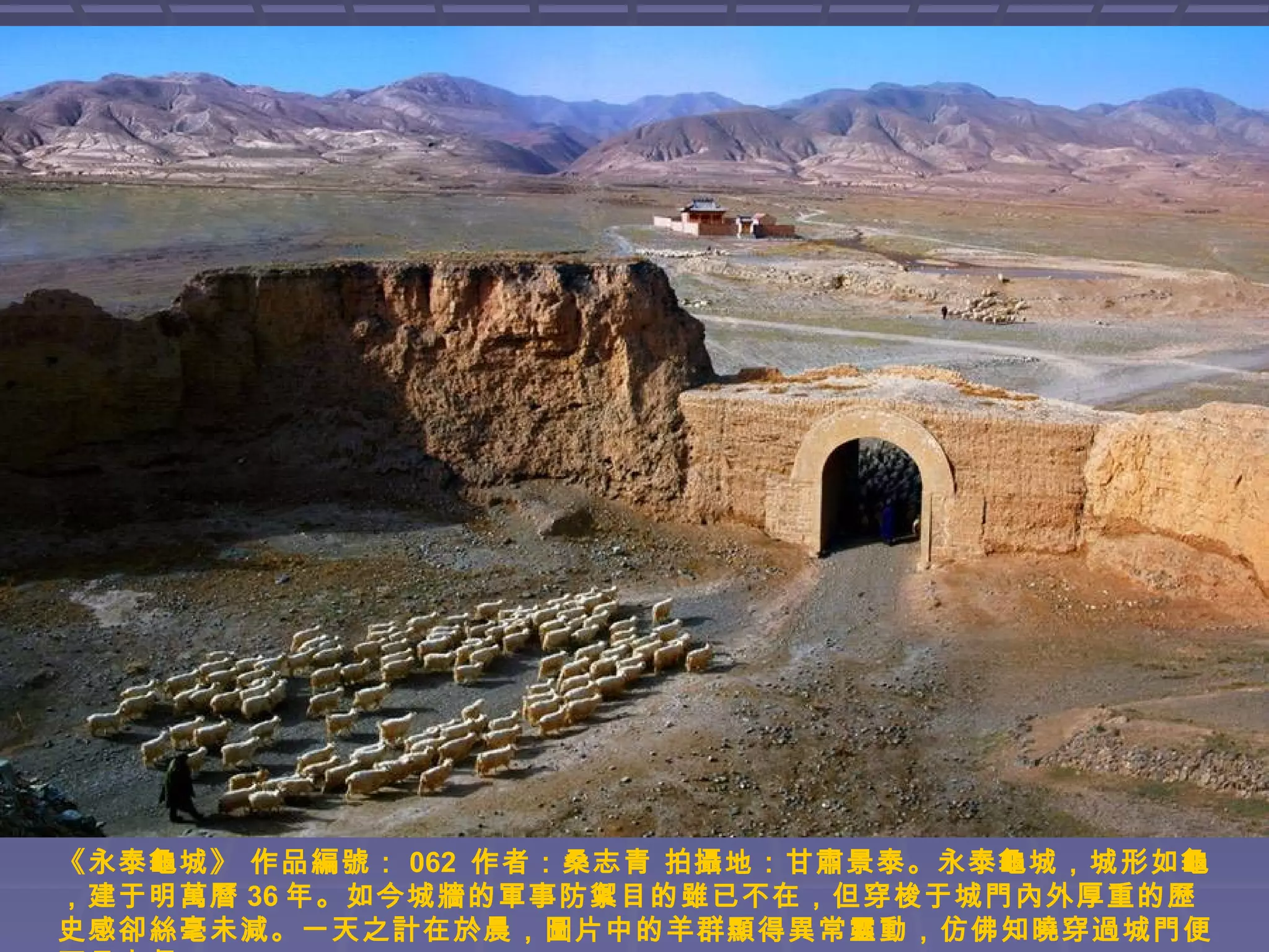 《永泰龜城》 作品編號： 062 作者：桑志青 拍攝地：甘肅景泰。永泰龜城，城形如龜
，建于明萬曆 36 年。如今城牆的軍事防禦目的雖已不在，但穿梭于城門內外厚重的歷
史感卻絲毫未減。一天之計在於晨，圖片中的羊群顯得異常靈動，仿佛知曉穿過城門便

 