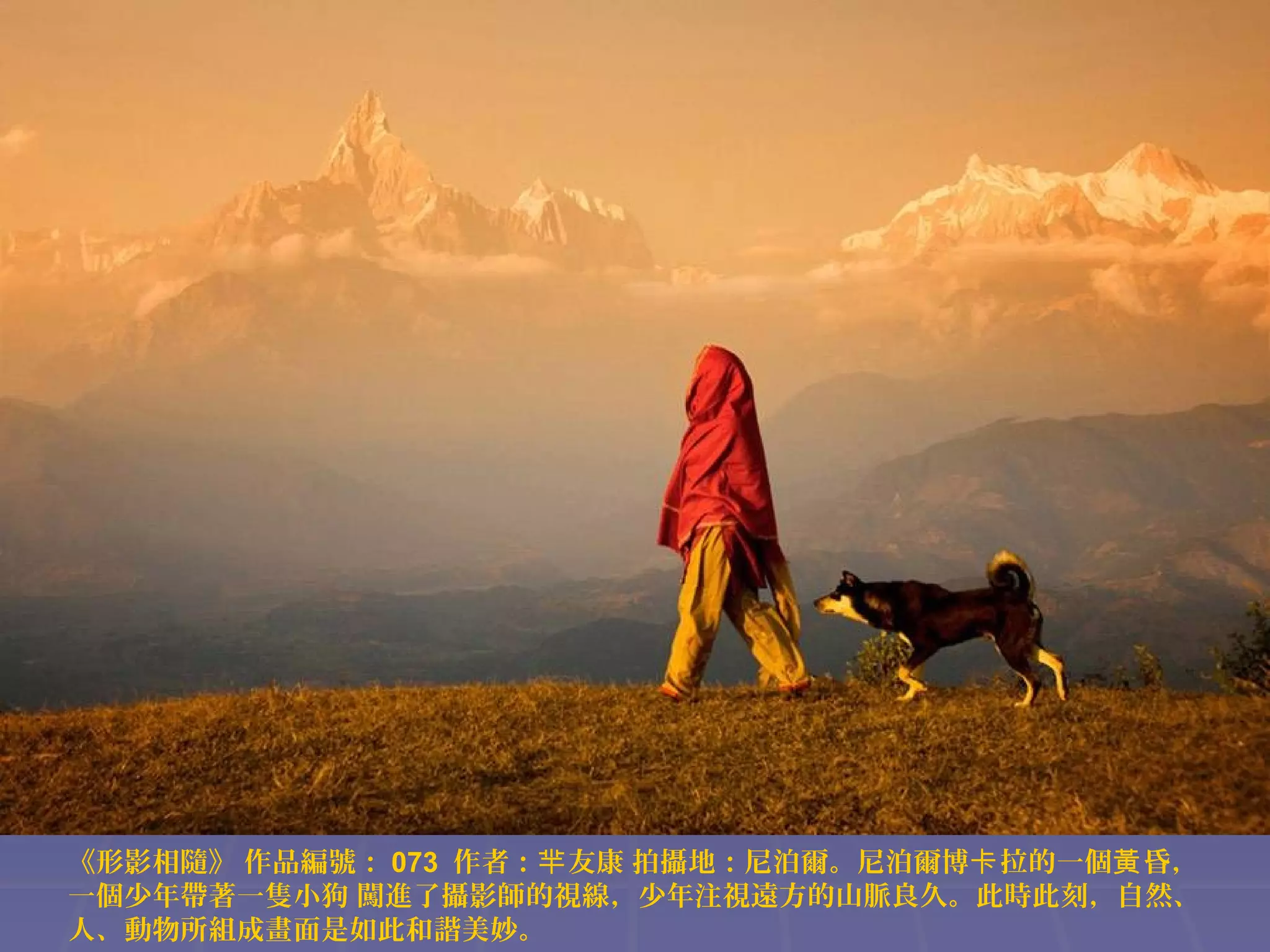《形影相隨》 作品編號： 073 作者：羋 友康 拍攝地：尼泊爾。尼泊爾博卡 拉的一個黃 昏，
一個少年帶著一隻小狗 闖進了攝影師的視線，少年注視遠方的山脈良久。此時此刻，自然、
人、動物所組成畫面是如此和諧美妙。

 